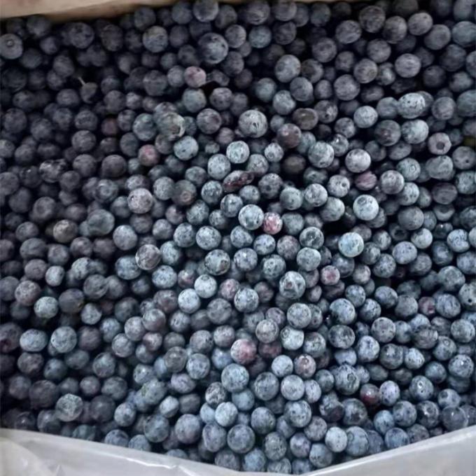 Grosir Cina Iqf Buah Berry beku IQF Buah blueberry beku untuk ekspor dengan harga yang baik Blue Berry 1