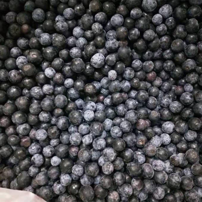 Grosir Cina Iqf Buah Berry beku IQF Buah blueberry beku untuk ekspor dengan harga yang baik Blue Berry 2