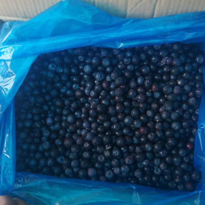 Grosir Cina Iqf Buah Berry beku IQF Buah blueberry beku untuk ekspor dengan harga yang baik Blue Berry 3