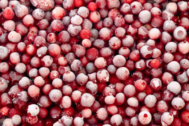 Hot Sell New Crop Iqf Beku Bulk Red Lingonberry dalam Buah Beku Bulk Packing 2