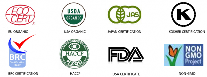 Produksi Profesional Kualitas Bersertifikat IQF Strip Red Bell Pepper Beku 7