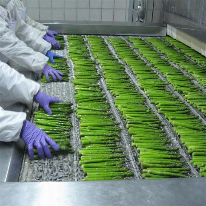 Pabrik Bersertifikasi Kualitas Manufaktur IQF Asparagus Beku 1