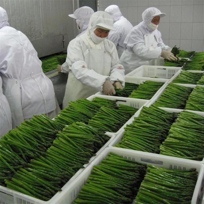 Pabrik Bersertifikasi Kualitas Manufaktur IQF Asparagus Beku 2