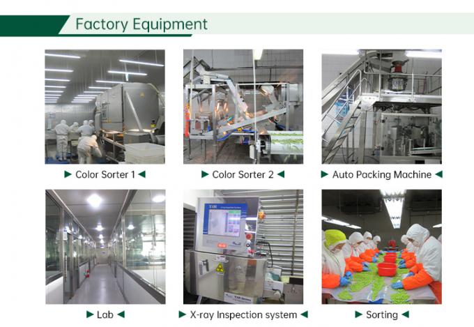 Sayuran Campur Beku IQF Sayuran Campur Segar 6