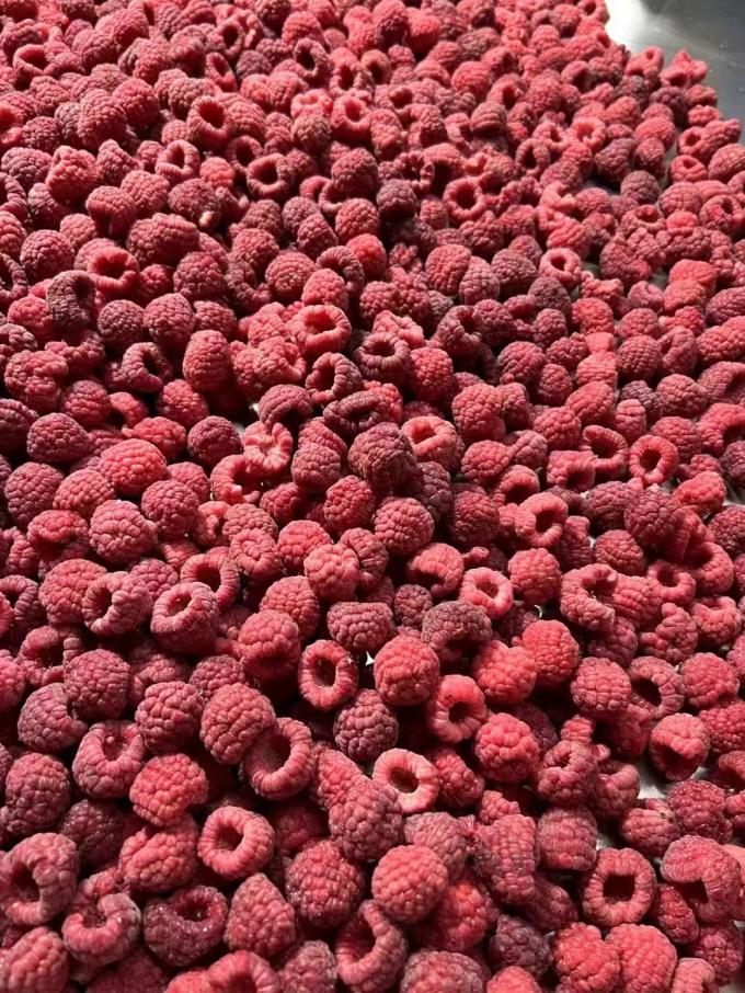 Raspberi Beku Segar Berkualitas Tinggi Dipetik Langsung untuk Rasa Manis untuk Jus, Makanan Penutup, Milkshake 3