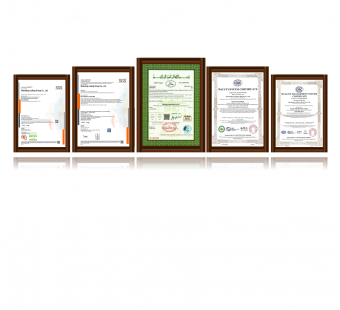 Ekspor payudara ayam beku tanpa tulang berkualitas tinggi siap dalam kemasan massal 3