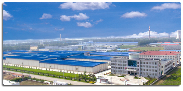 Ekspor payudara ayam beku tanpa tulang berkualitas tinggi siap dalam kemasan massal 4