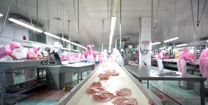 Ekspor payudara ayam beku tanpa tulang berkualitas tinggi siap dalam kemasan massal 6